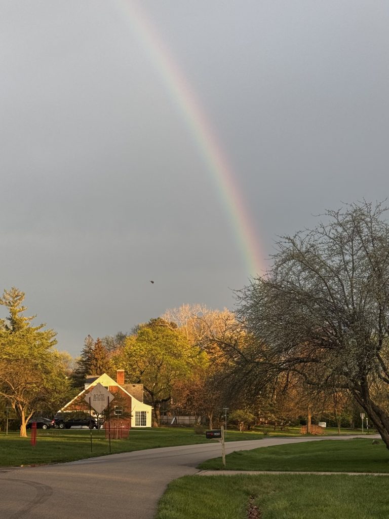 Rainbow Corner